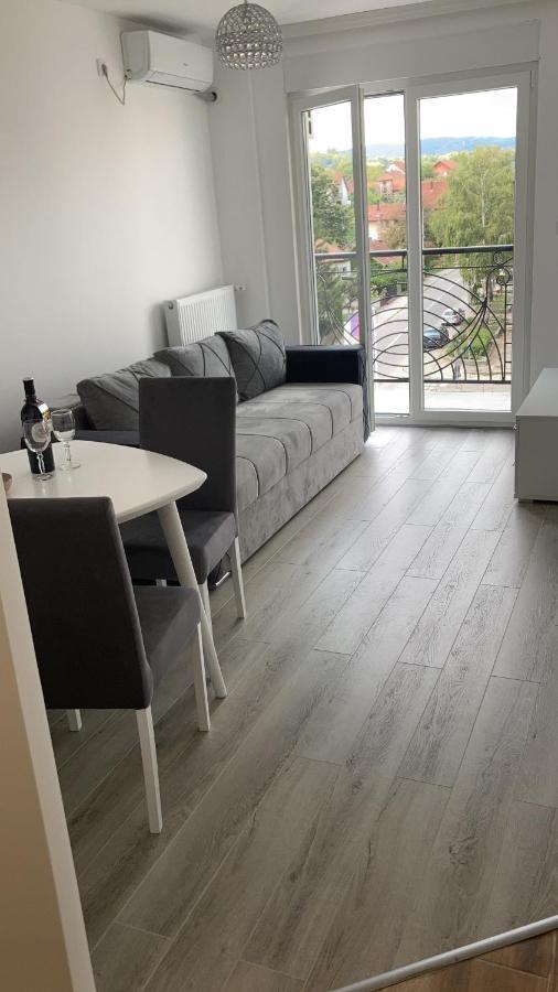 Apartman Katarina Banja Koviljaca Luaran gambar